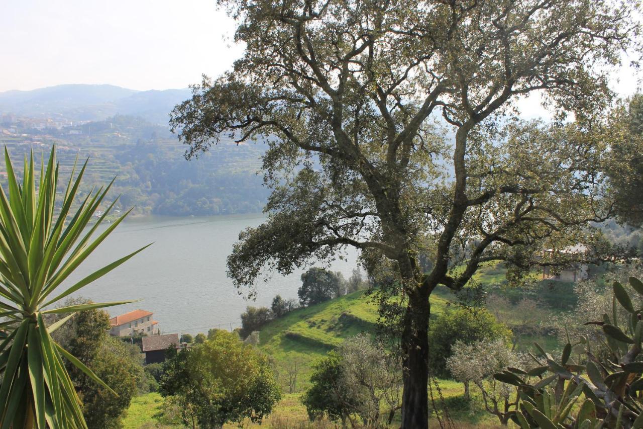 Quinta Das Quintas & Spa Baião Dış mekan fotoğraf