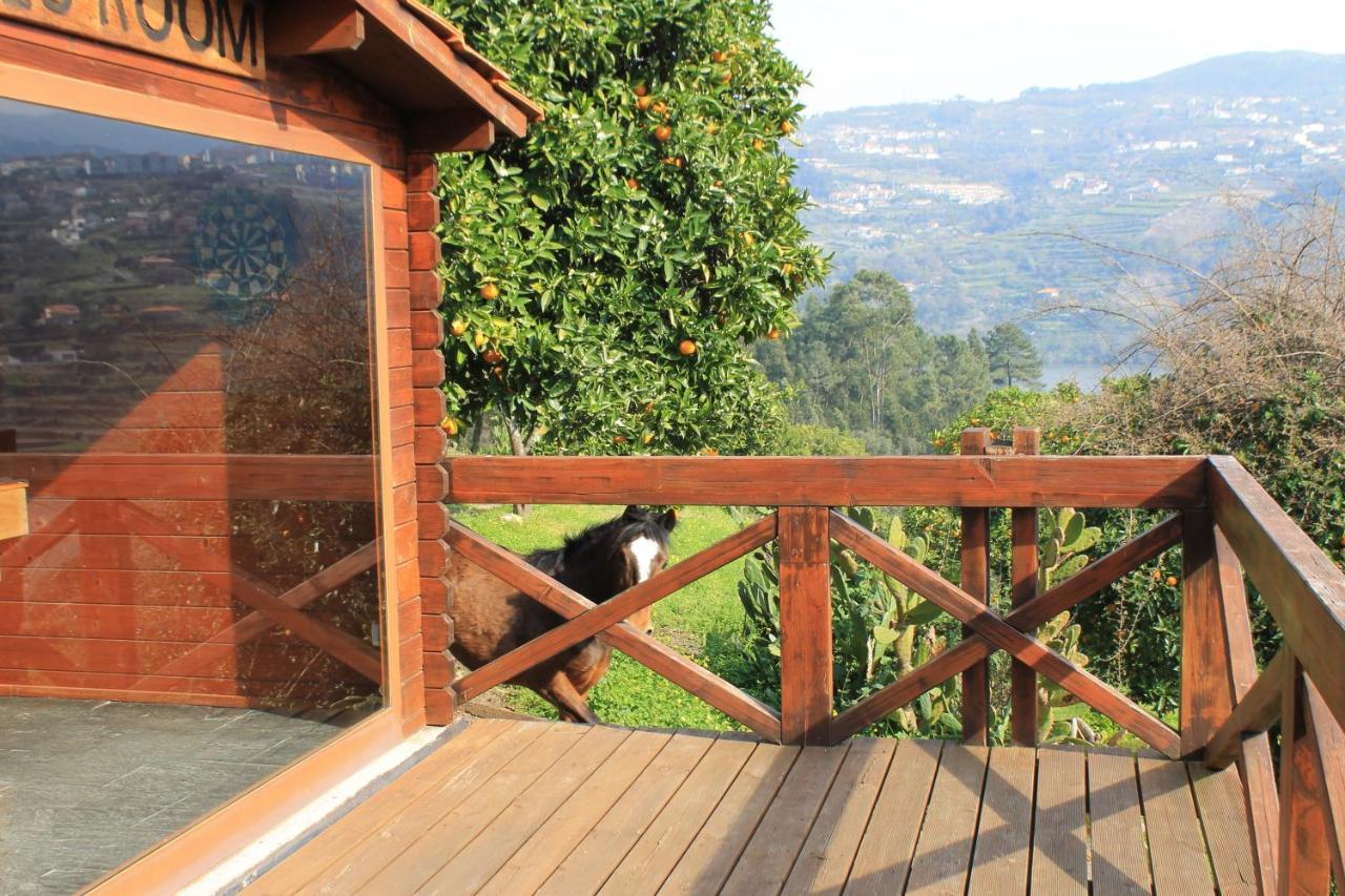 Quinta Das Quintas & Spa Baião Dış mekan fotoğraf