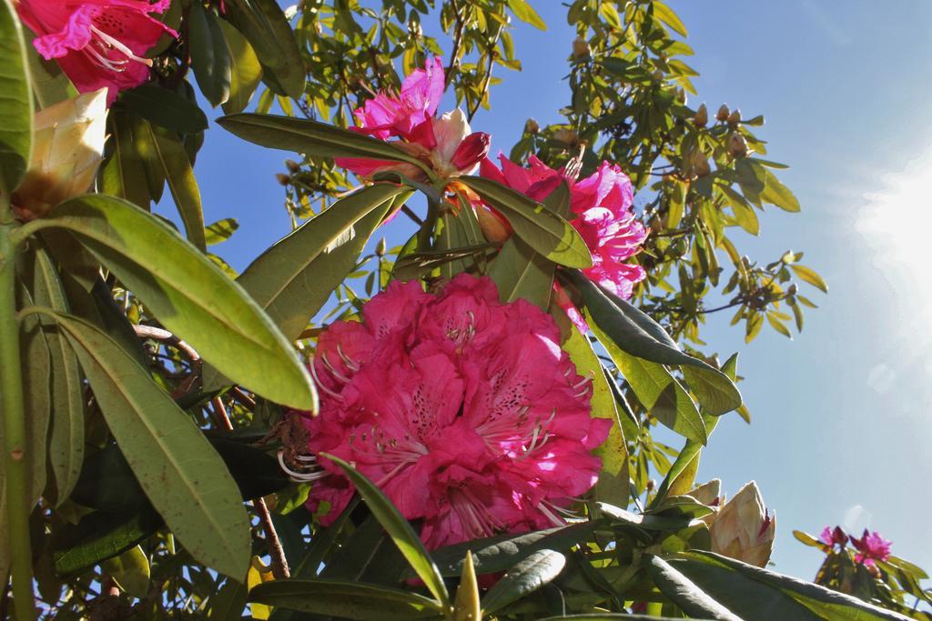 Quinta Das Quintas & Spa Baião Dış mekan fotoğraf