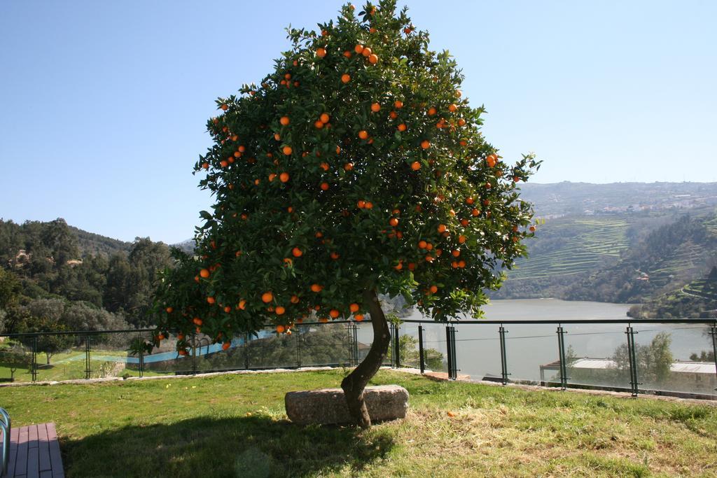 Quinta Das Quintas & Spa Baião Dış mekan fotoğraf
